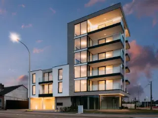 Beringen (RBU42888)   Beringen (RBU42888)