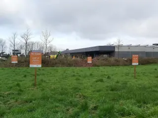   Binderveld (RBD38739)