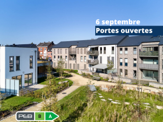 NEO - Première phase