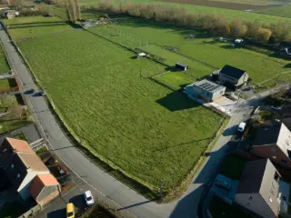 Hellebecq (VBC03655)   Hellebecq (VBC03655)