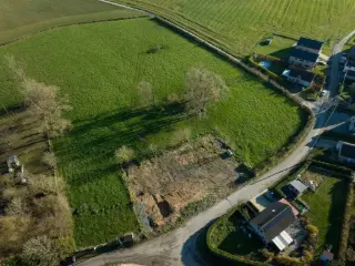 Petit Enghien (DVP10804)