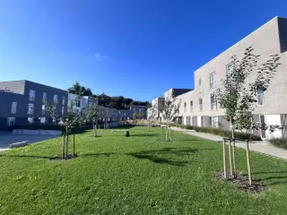 Arlon (VBD27999)   Arlon (VBD27999)