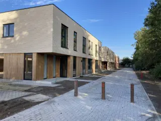 Noorderwijk (RBU43249)   Noorderwijk (RBU43249)