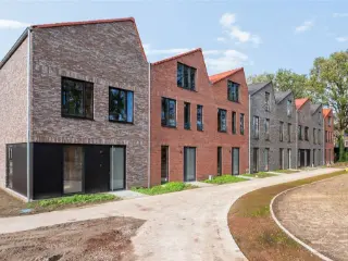   Herentals (RBU65983)