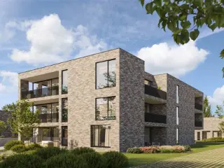   Ruisbroek (RBU50589)