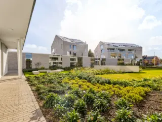   Sint-Truiden (RBU47136)