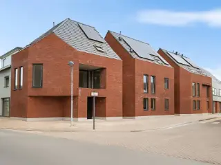   Houtvenne (RBU23017)