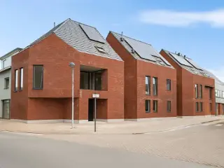   Houtvenne (RBU27612)