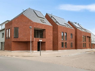   Houtvenne (RBU71351)