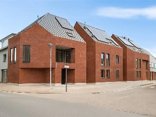   Houtvenne (RBU71348)