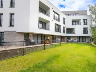 Evere (VBC94788)   Evere (VBC94788)