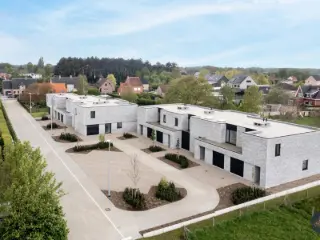 Westerlo (RBU55824)   Westerlo (RBU55824)
