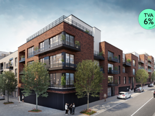 Vorst (VBD17319)   Vorst (VBD17319)