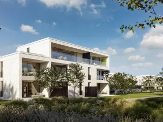 Koersel (RBU30944)   Koersel (RBU30944)