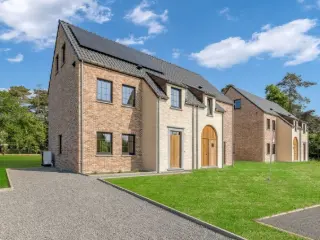 Koersel (RBS92265)   Koersel (RBS92265)