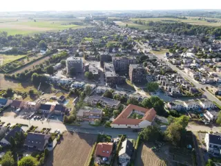 Koninksem (RBH08411)   Koninksem (RBH08411)