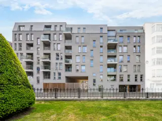 Liege (VBD16453)   Liege (VBD16453)