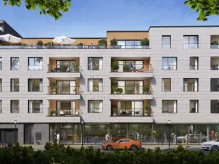 Ukkel (RBU38936)   Ukkel (RBU38936)