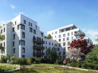 Eigenbrakel (VAX54747)   Eigenbrakel (VAX54747)