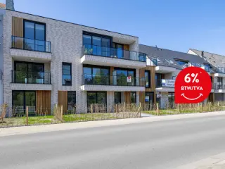 Coxyde (RBG51059)   Coxyde (RBG51059)