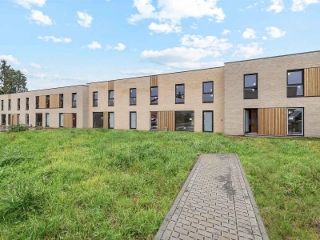   Ronse (RBI38307)