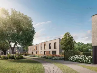 Ronse (RBI38312)   Ronse (RBI38312)