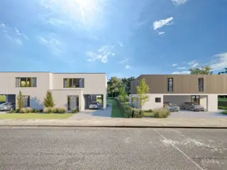 Dilbeek (RBP35441)   Dilbeek (RBP35441)