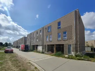 Eke (RBT89940)   Eke (RBT89940)