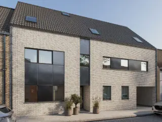 Meerhout (RBU48611)   Meerhout (RBU48611)