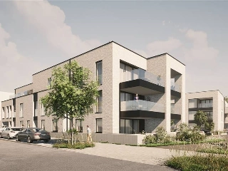   Tessenderlo (RBU77706)