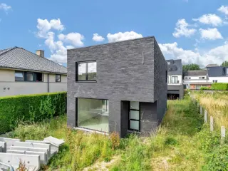 Haaltert (RBO98116)   Haaltert (RBO98116)