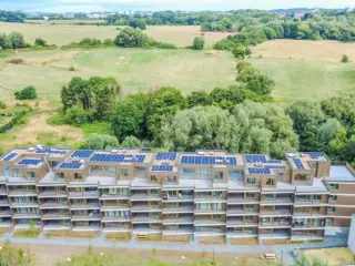 Anderlecht (RBT90019)   Anderlecht (RBT90019)