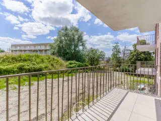 Gavere (RBT24300)   Gavere (RBT24300)