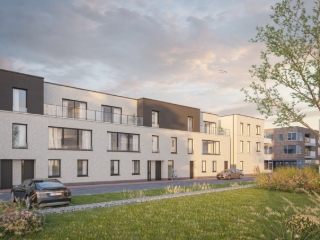 Blauwe Parel