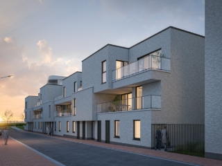 Blauwe Parel