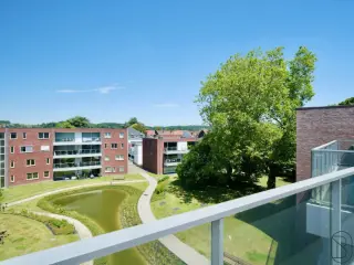 Renaix (RBT02725)   Renaix (RBT02725)