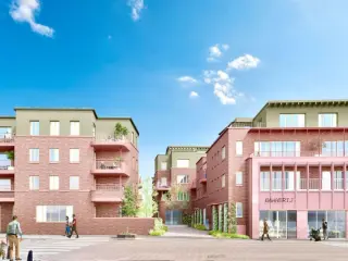 Renaix (RBT20182)   Renaix (RBT20182)