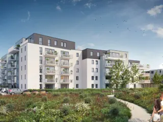 Doornik (VBD04780)   Doornik (VBD04780)