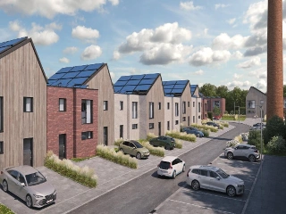   Moeskroen (VBC25714)