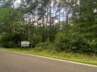 Terrain à bâtir à vendre Mol (RBD47176)