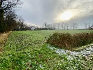 Industrie te koop Antwerpen (RBG77953)