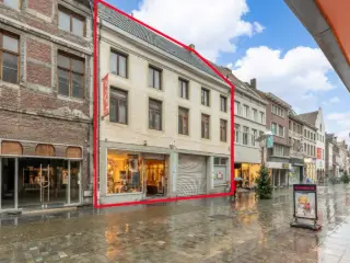 Huis te koop Maaseik (RBJ16923)