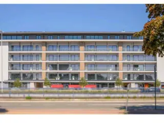 Handelspand te koop Sint-Niklaas (RBJ26586)