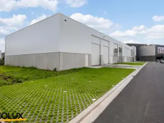 Surface commerciale à louer Grand-Bigard (RBJ50574)