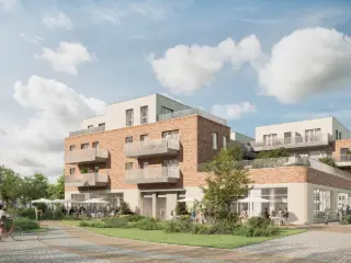 Surface commerciale à vendre Denderleeuw (RBJ79201)