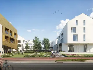 Kantoor te koop Sint-Truiden (RBJ82688)