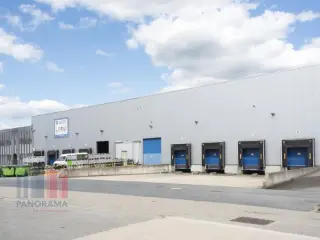 Industrie te huur Zele (RBK02722)