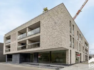 Handelspand te koop Lommel (RBK06264)