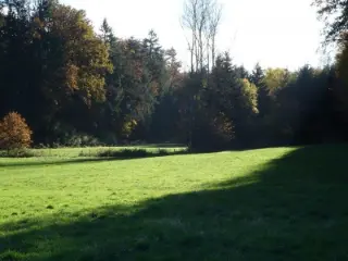 Landbouwgrond te koop Canach (RBK67770)