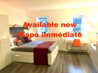 Studio à louer Luxembourg (RBK79283)